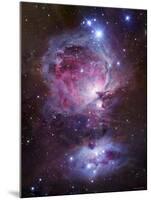 M42, the Orion Nebula (Top), and NGC 1977, a Reflection Nebula (Bottom)-Stocktrek Images-Mounted Premium Photographic Print