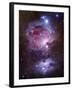 M42, the Orion Nebula (Top), and NGC 1977, a Reflection Nebula (Bottom)-Stocktrek Images-Framed Photographic Print