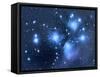M45 Pleiades-rwittich-Framed Stretched Canvas