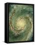 M51 Whirlpool Galaxy-null-Framed Stretched Canvas