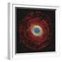 M57, the Ring Nebula-null-Framed Photographic Print