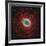 M57, the Ring Nebula-null-Framed Photographic Print