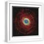 White Frame
