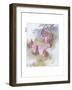 Ma Is So Particular-Anne Anderson-Framed Giclee Print