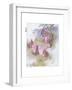 Ma Is So Particular-Anne Anderson-Framed Giclee Print