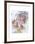 Ma Is So Particular-Anne Anderson-Framed Giclee Print