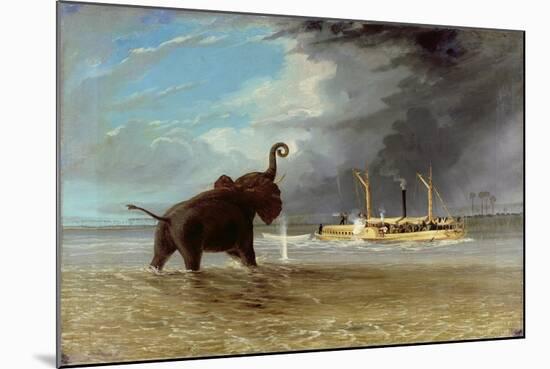 'Ma Robert' and Elephants in the Shallows of the Shire River, 1858-Thomas Baines-Mounted Giclee Print