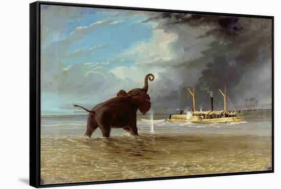 'Ma Robert' and Elephants in the Shallows of the Shire River, 1858-Thomas Baines-Framed Stretched Canvas