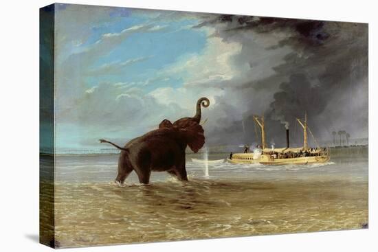 'Ma Robert' and Elephants in the Shallows of the Shire River, 1858-Thomas Baines-Stretched Canvas