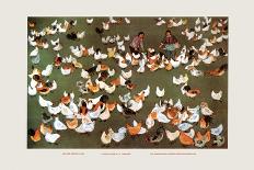 The Brigade's Chicken Farm-Ma Ya-li-Mounted Art Print