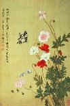 Poppies, Butterflies and Bees-Ma Yuanyu-Stretched Canvas