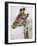 Maasai Giraffe Feeding, Maasai Mara, Kenya-Joe Restuccia III-Framed Photographic Print