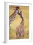 Maasai Giraffe Mother Sucking Youngos Ear-null-Framed Photographic Print