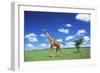 Maasai Giraffe-null-Framed Photographic Print