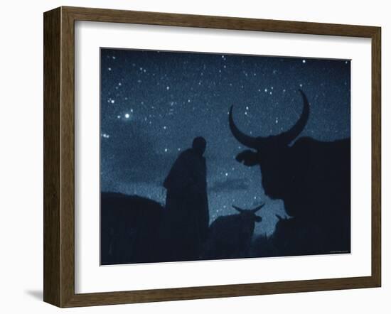 Maasai Herdsman, Serengeti National Park, Ngorongoro Conservation Area, Tanzania, East Africa-Martin Dohrn-Framed Photographic Print