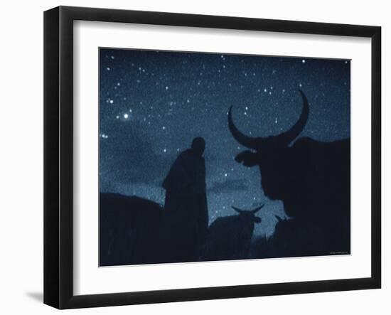 Maasai Herdsman, Serengeti National Park, Ngorongoro Conservation Area, Tanzania, East Africa-Martin Dohrn-Framed Photographic Print