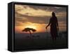 Maasai Tribesman Carrying a Stick on the Savannah at Sunset, Maasai Mara National Reserve, Kenya-Keren Su-Framed Stretched Canvas