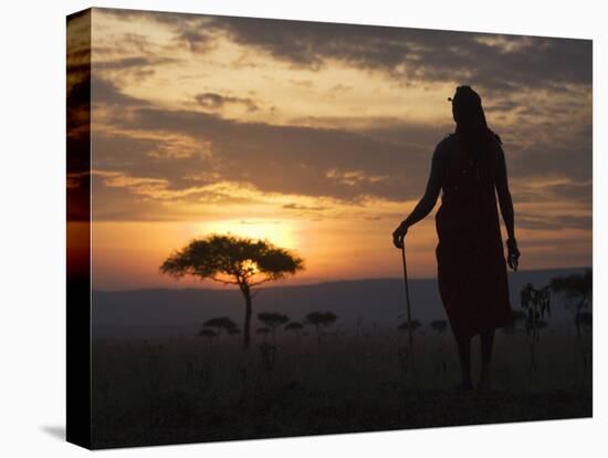 Maasai Tribesman Carrying a Stick on the Savannah at Sunset, Maasai Mara National Reserve, Kenya-Keren Su-Stretched Canvas