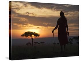 Maasai Tribesman Carrying a Stick on the Savannah at Sunset, Maasai Mara National Reserve, Kenya-Keren Su-Stretched Canvas