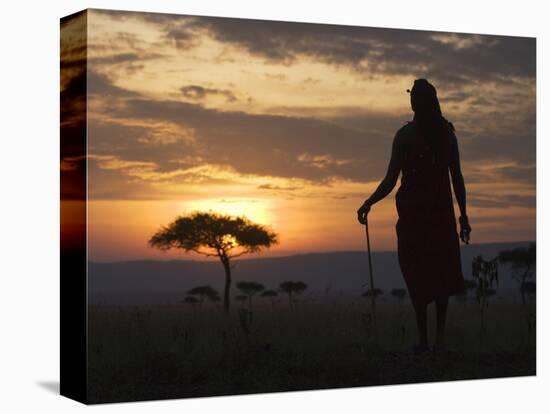 Maasai Tribesman Carrying a Stick on the Savannah at Sunset, Maasai Mara National Reserve, Kenya-Keren Su-Stretched Canvas