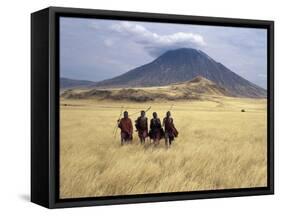 Maasai Warriors Stride across Golden Grass Plains at Foot of Ol Doinyo Lengai, 'Mountain of God'-Nigel Pavitt-Framed Stretched Canvas