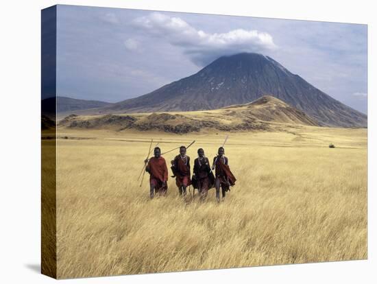 Maasai Warriors Stride across Golden Grass Plains at Foot of Ol Doinyo Lengai, 'Mountain of God'-Nigel Pavitt-Stretched Canvas