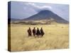 Maasai Warriors Stride across Golden Grass Plains at Foot of Ol Doinyo Lengai, 'Mountain of God'-Nigel Pavitt-Stretched Canvas