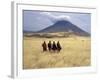 Maasai Warriors Stride across Golden Grass Plains at Foot of Ol Doinyo Lengai, 'Mountain of God'-Nigel Pavitt-Framed Photographic Print