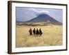 Maasai Warriors Stride across Golden Grass Plains at Foot of Ol Doinyo Lengai, 'Mountain of God'-Nigel Pavitt-Framed Photographic Print