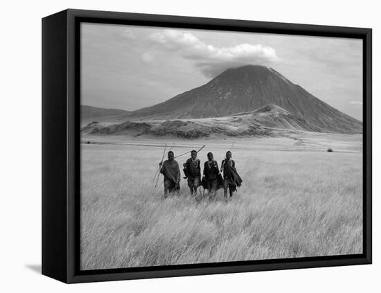 Maasai Warriors Stride across Golden Grass Plains at Foot of Ol Doinyo Lengai, 'Mountain of God'-Nigel Pavitt-Framed Stretched Canvas