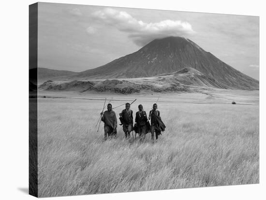 Maasai Warriors Stride across Golden Grass Plains at Foot of Ol Doinyo Lengai, 'Mountain of God'-Nigel Pavitt-Stretched Canvas