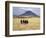 Maasai Warriors Stride across Golden Grass Plains at Foot of Ol Doinyo Lengai, 'Mountain of God'-Nigel Pavitt-Framed Photographic Print