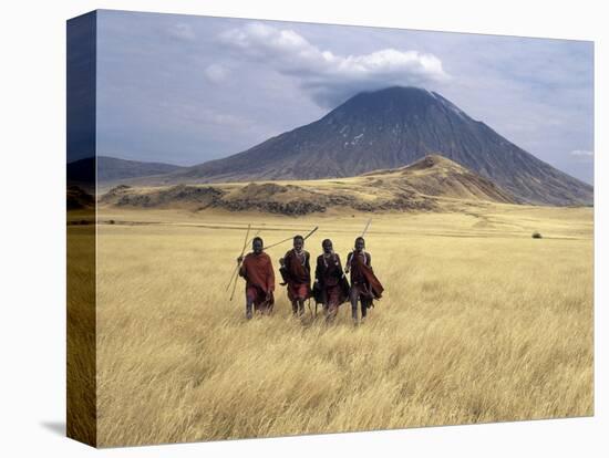 Maasai Warriors Stride across Golden Grass Plains at Foot of Ol Doinyo Lengai, 'Mountain of God'-Nigel Pavitt-Stretched Canvas