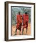 Maasai Warriors-null-Framed Photographic Print