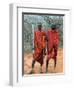 Maasai Warriors-null-Framed Photographic Print