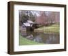 Mabry Mill, Blue Ridge Parkway, Virginia, USA-Lynn Seldon-Framed Photographic Print
