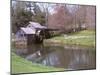 Mabry Mill, Blue Ridge Parkway, Virginia, USA-Lynn Seldon-Mounted Photographic Print