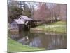 Mabry Mill, Blue Ridge Parkway, Virginia, USA-Lynn Seldon-Mounted Photographic Print