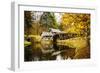 Mabry Mill I-Alan Hausenflock-Framed Photographic Print