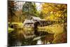 Mabry Mill I-Alan Hausenflock-Mounted Photographic Print