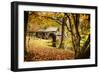 Mabry Mill II-Alan Hausenflock-Framed Photographic Print