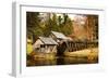 Mabry Mill III-Alan Hausenflock-Framed Photographic Print