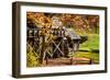 Mabry Mill IV-Alan Hausenflock-Framed Photographic Print