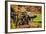 Mabry Mill IV-Alan Hausenflock-Framed Photographic Print