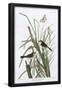 Essential Black
