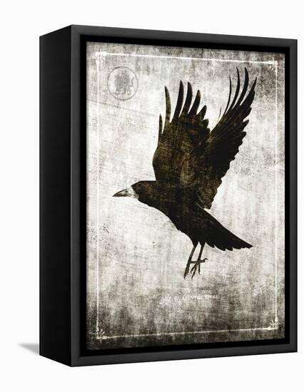 Macabre Collection C-GI ArtLab-Framed Stretched Canvas