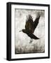 Macabre Collection C-GI ArtLab-Framed Premium Giclee Print