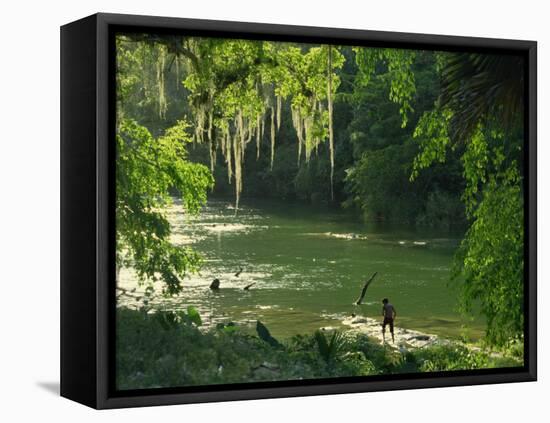 Macac River Running Through Rainforest at Old Man's Beard, Belize, Central America-Macleod Iain-Framed Stretched Canvas