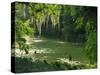 Macac River Running Through Rainforest at Old Man's Beard, Belize, Central America-Macleod Iain-Stretched Canvas