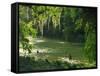 Macac River Running Through Rainforest at Old Man's Beard, Belize, Central America-Macleod Iain-Framed Stretched Canvas